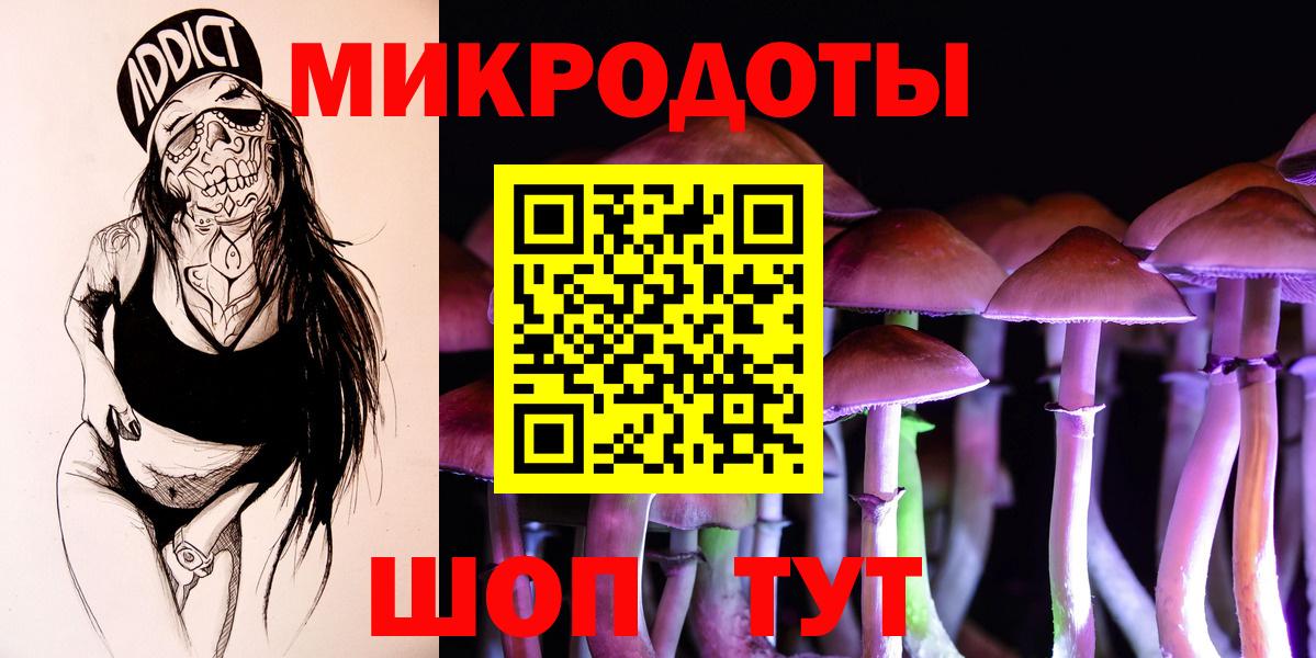 Галлюциногенные грибы Psilocybe Елабуга