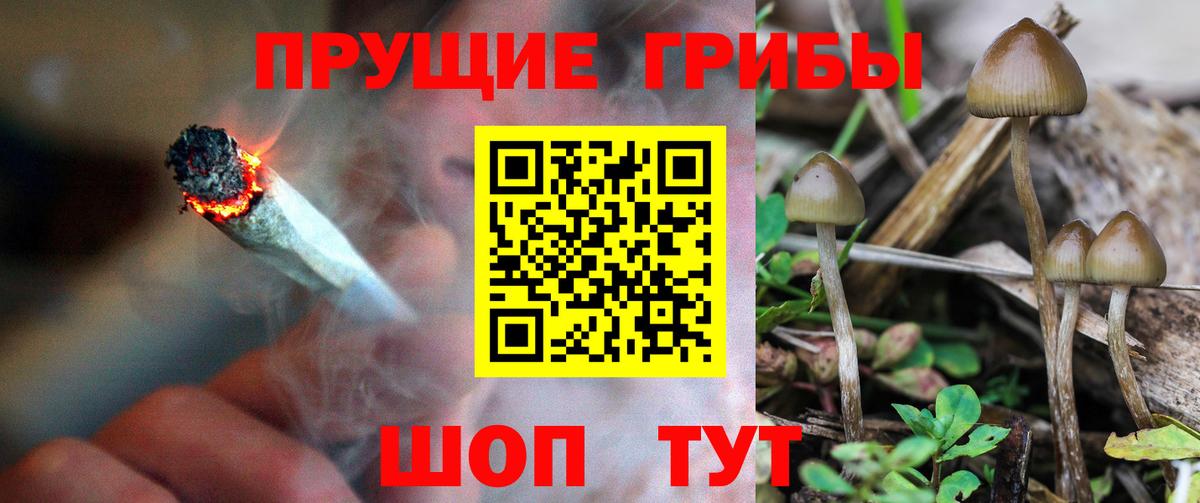 Псилоцибиновые грибы Magic Shrooms  Псилоцибиновые грибы прущие грибы  Елабуга  где продают   Вход с VPN 