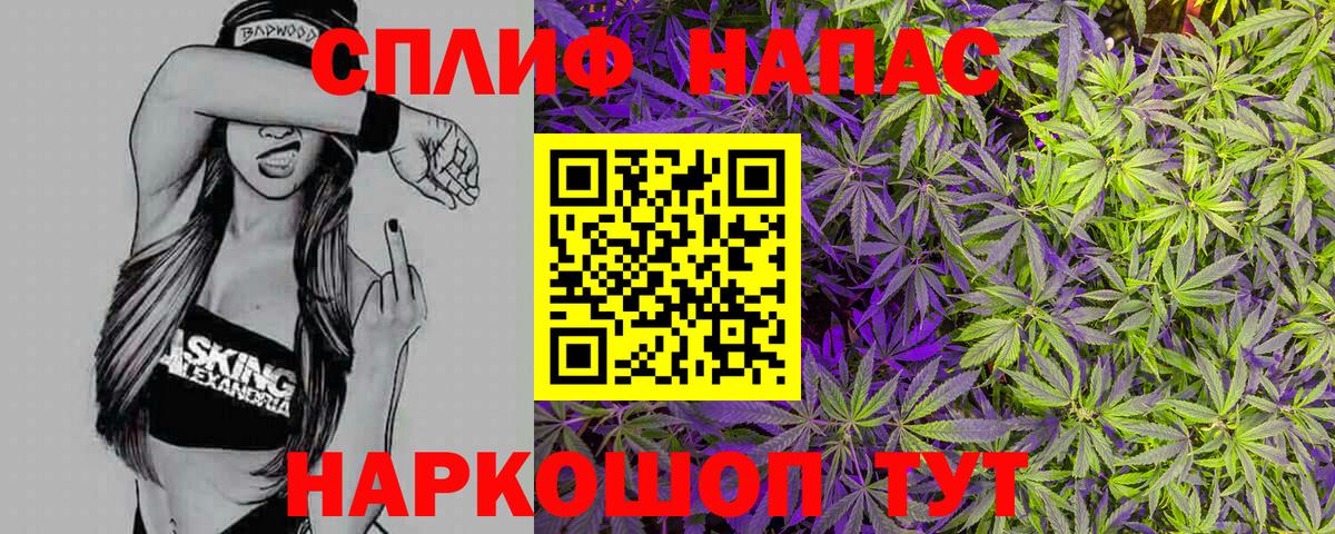 Конопля сатива  Марихуана MAZAR  Вход с VPN  Бошки марихуана White Widow  Елабуга  Марихуана SATIVA & INDICA 